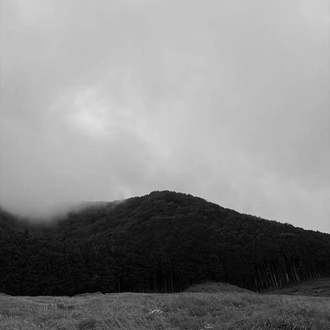 Schwarze und weiße Landschaft mit bewaldeten Hügeln und Nebel im Hintergrund.
