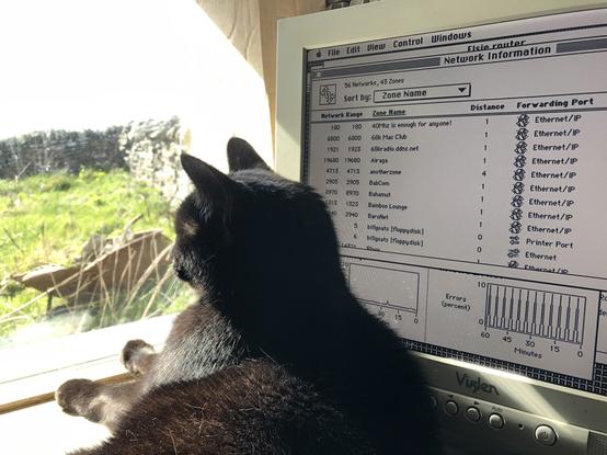 A black cat laying against the screen of an old Mac