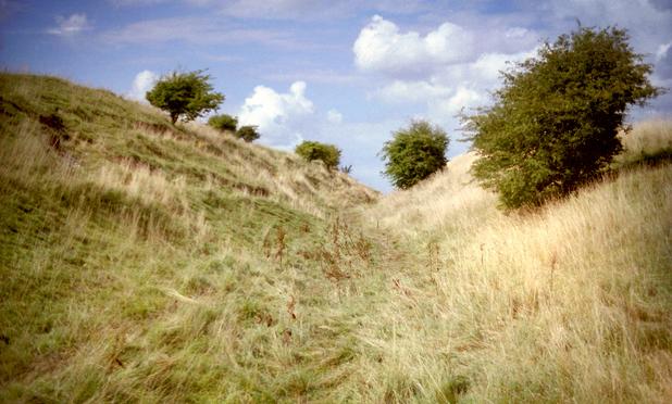 An ancient rampart & ditch - long since deteriorated.