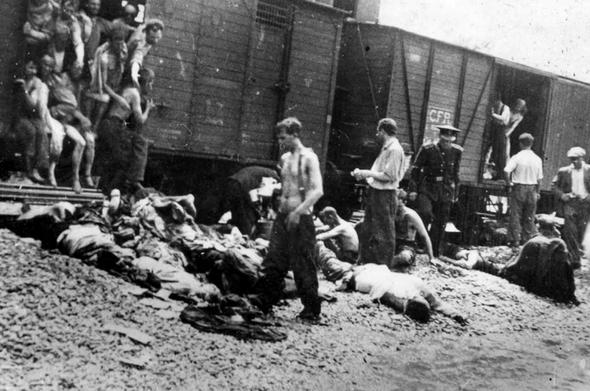 Todd Lyons, acting director of ICE, wants to treat rounding up immigrants more efficiently and more like a business. This image is of a death train used during the Nazis’ highly efficient transportation of Jews to death camps during WWII. #FascistAmerica
