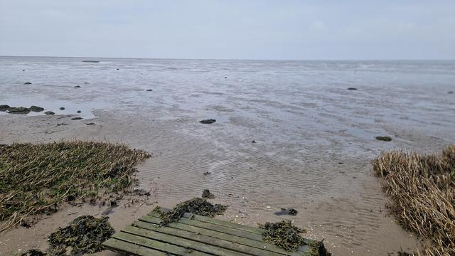 Wattenmeer