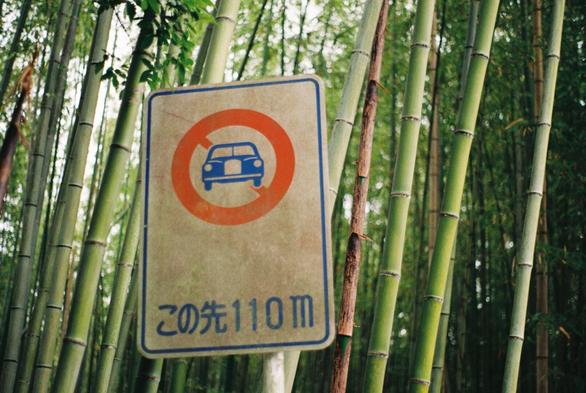 A street sign showing a blue car in a red crossed circle, for disallowing cars to drive through (I think?) near a bamboo forest in japan. the weathered sign looks out of place, seeing as there are only bamboo stalks around it in the background with no hints of civilization.