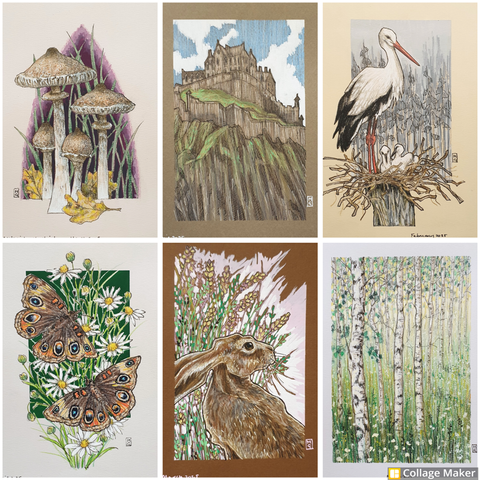 A photo collage of a selection of my artworks:
Mushrooms, Edinburgh Castle, a stork on a nest with chicks, butterflies, a hare portrait and a pale woodland landscape