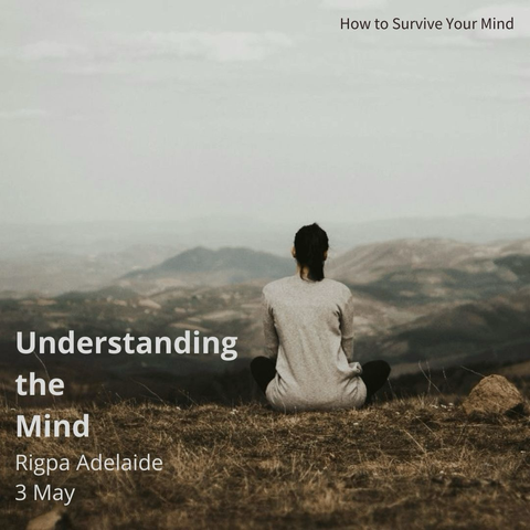 Understanding the Mind