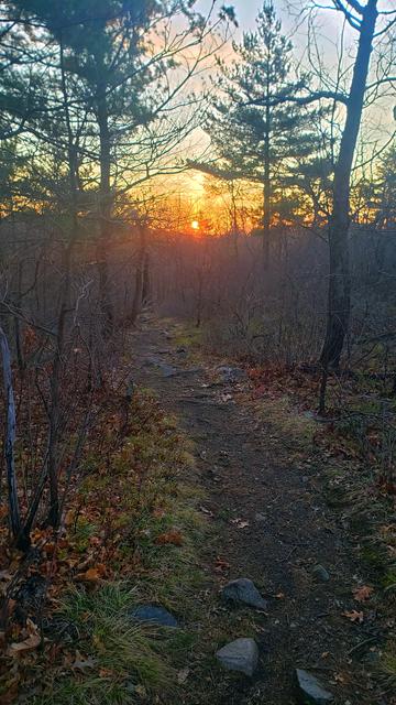 On the trail down the just rising sun appears through the trees above the trail.