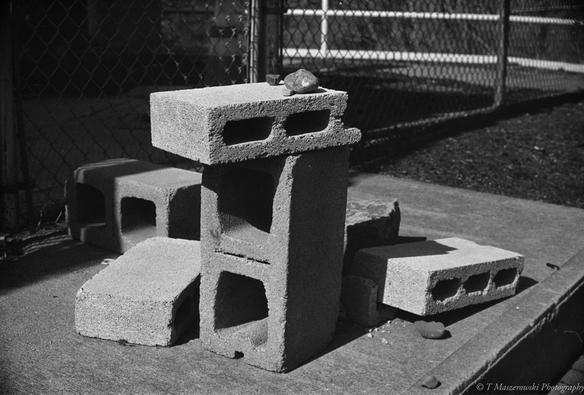 Nikon F2 w/50mm f/1.4 Nikkor on Foma 400 (@200)