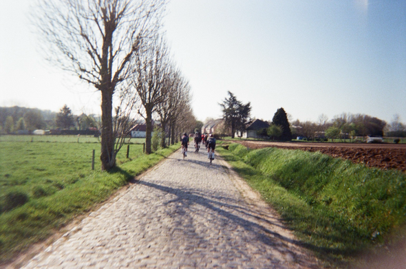 Cyclists on cobbled road with fields to each side.