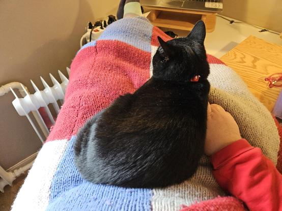 Alea the Black Cat on my lap as I sit beside the electrical radiator wrapped in my fluffy knitted blanket.