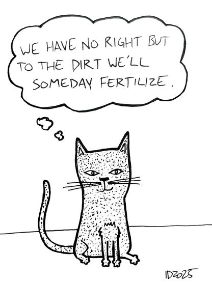 a speckled cat sits and thinks "we have no right but to the dirt we'll someday fertilize."