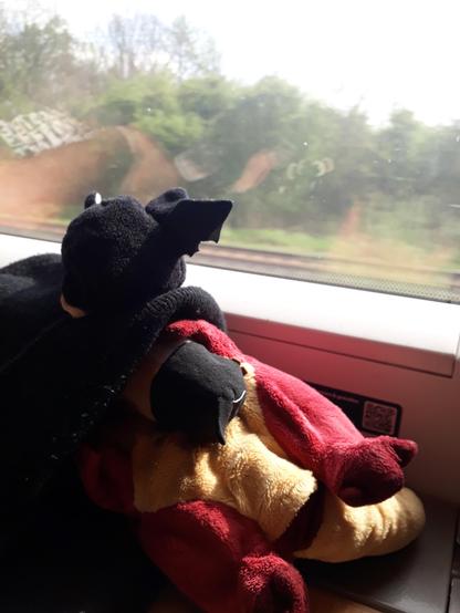 Ich hab Buster im Arm und wir haben eine Mütze überm Kopf gegen das hell.
Auf mir sitzt Rüdiger und guckt nach draußen, wo Landschaft ist.