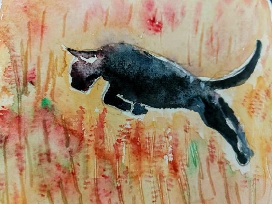 Cat springing in grasses