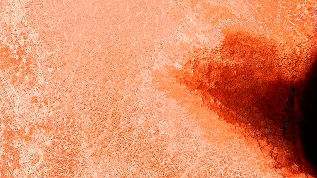 a satellite picture of the dried-up surface of a salt lake. the colors range from salmon pink to intense orange turning to black, with a white pattern of cracks all over the surface