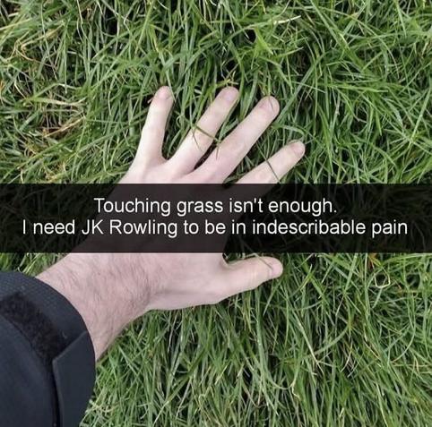 Touching grass is not enough.
I need JK Rowling to be in indescribable pain.
*Image of a light skin hand touching grass*