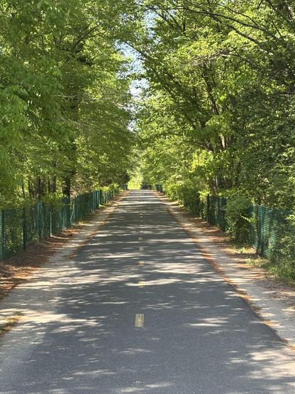 A paved multi-use trail stretches into the distance. Both sides have a green chain link fence and a canopy of trees shades the trail.