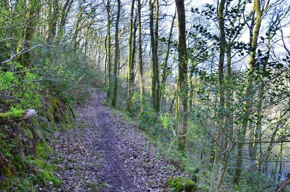 Path along valley side.