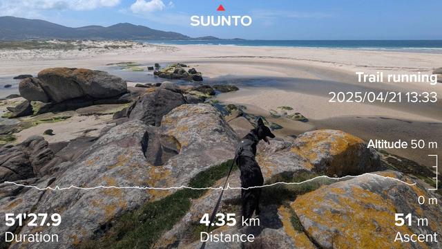 Paddy the Irish mutt standing on some rocks with yellow licken in, with a river below and the beach stretching out with some hills in the background with clear blue skies