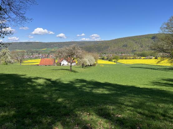 Blühende Bäume und Rapsfelder