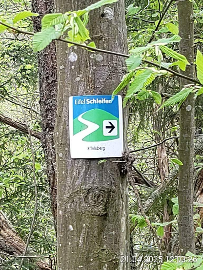 Wegweiser "Eifelschleifen" Effelsberg