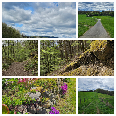 Impressionen von einer Waldwanderung rund um das Radioteleskop Effelsberg