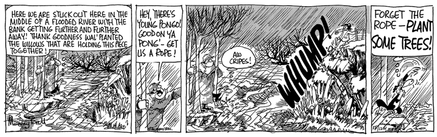Dog and Wal stand by the swolen river, 'HERE WE ARE STICKOUT HERE IN THE MIDDLE OF A FLOODED RIVER WITH THE BANK GETTING FURTHER AND FURTHER AWAY! THANK GOODNESS WAL' PLANTED THE WILLOWS THAT ARE HOLDING THIS PIECE TOGETHER!'

Wal cries out to Pongo 'HEY, THERE'S YOUNG PONGO!
DODON YA PONG'- GET US A ROPE!'

The cliff crumbeles below her 'AW CRIPES"

Dog 'FORGET THE ROPE -PLANT SOME TREES.'
