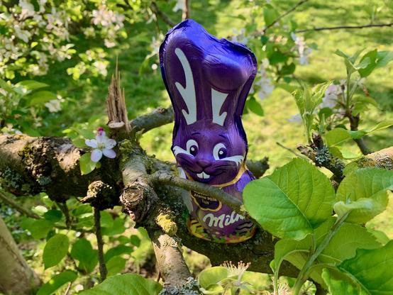 Happy Easter to everybody out there on Mastodon - have a peaceful weekend.