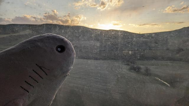 Rosåhaj lurking at the sunset over Anatolian mountains from inside a train.