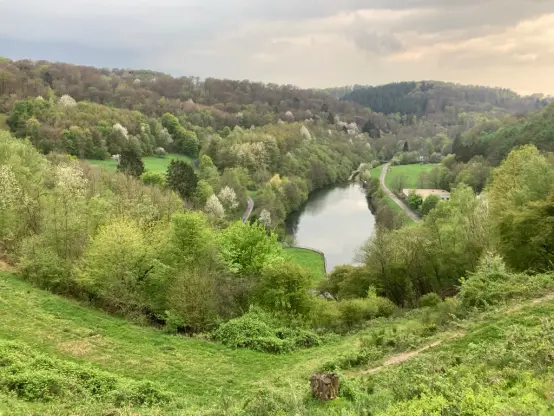 Umgeben von einer frühlingshaften Waldlandschaft, zeigt sich der Auslauf bzw. die Rückseite der Staumauer.