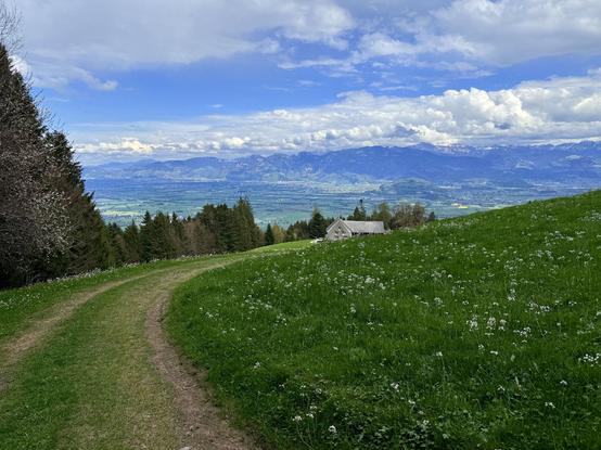 der weg führt über die grüne wiese zu einem alten bauernhaus - dahinter die ebene des rheintals und die vorarlberger berge
