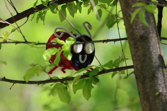 Ein Marienkäfer hinter jungen Frühlingsblättern eines Baumes.
Der Körper eine rot-schwarz angemalte Dose, die Beine roter Bürstendraht, Fühler und lachender Mund weißer Bürstendraht, zwei Kronkorken als Augen.