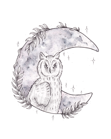 Illustration d'un hibou réalisée à l'encre noire et à l'aquarelle. Le hibou se tient sur un croissant de lune dont dépassent quelques brins de végétation.