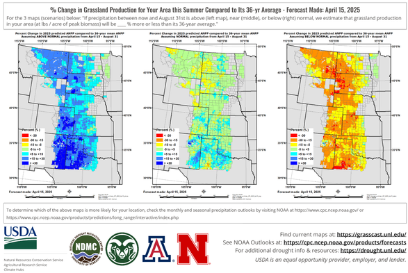 Three scenarios of grass production depending on whether above, normal or below normal precipitation is received between the present and Aug. 31.