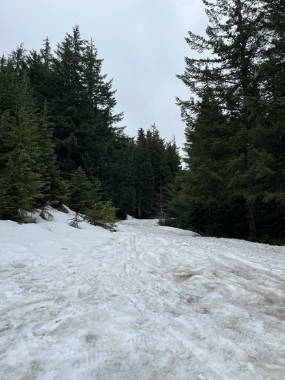 Snow @4000 ft in the mountains