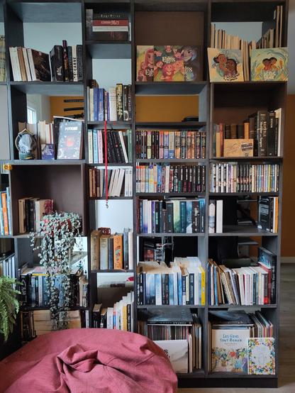 Une bibliothèque allant du sol au plafond qui sépare une pièce en 2.