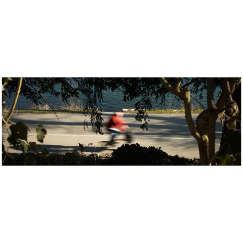 Picture of a person with a red jacket on a bicycle framed by trees and bushes. The person is very blurred due to the slow shutter speed.