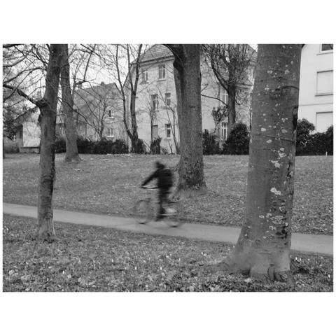 Picture of a park with many trees and a cycle path leading between them. A cyclist driving by, heavily blurred due to the slow shutter speed.