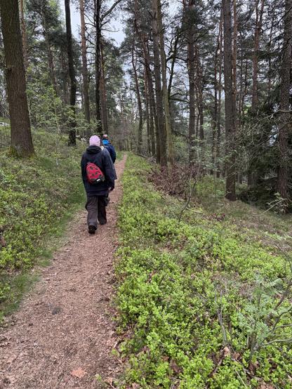 Drei Personen auf einem Wanderweg