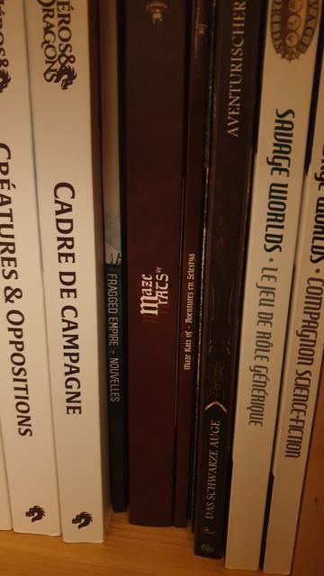 Des dos de livres de JdR, notamment Maze Rats qui se distingue au centre avec sa couverture marron clair. À gauche, Héros & Dragons version mook et le recueil de nouvelles liées au JdR SF Fragged Empire. À droite, l'Almanach aventurien pour l'Œil noir V5 en VO ainsi que le livre de base et le compagnon SF pour Savage Worlds.
