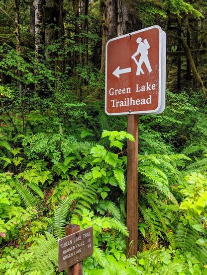 Snapped of a photo if the green lake hiking trail signed poking out of a glory of ferns in mount rainier national forest in Washington state USA