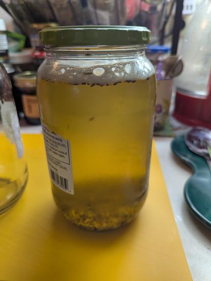 a reused large pickle jar filled with golden tea with bubbles at the top because i just shook it. lol. 

at the bottom are the bits of roots and spices that are being infused.