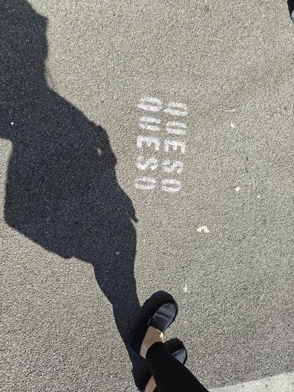 The word "QUESO" painted on a street in Portland twice using a stencil.

Also, my wife's feet in black shoes, but that isn't relevant.