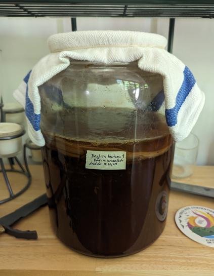 A two gallon glass jar with a wide opening covered by a blue striped kitchen towel and a rubber band sitting on a somewhat cluttered shelf of a baker's rack. The vessel is about three-fourths full of dark liquid (black tea and sugar) with a old SCOBY just under the surface, and a new SCOBY forming at the interface with the air.

There's a piece of masking tape on the glass vessel that says:
English teatime &
English breakfast
started: 4/15/25