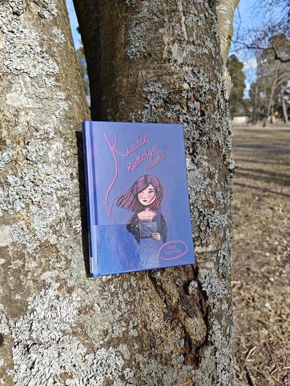 Kuvassa Kuuden kättelyn sääntö -kirja kuvattuna puuta vasten.