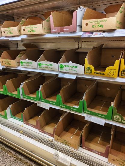 A photo of the egg section in a supermarket, showing four shelves of empty cardboard boxes where the eggs should be.