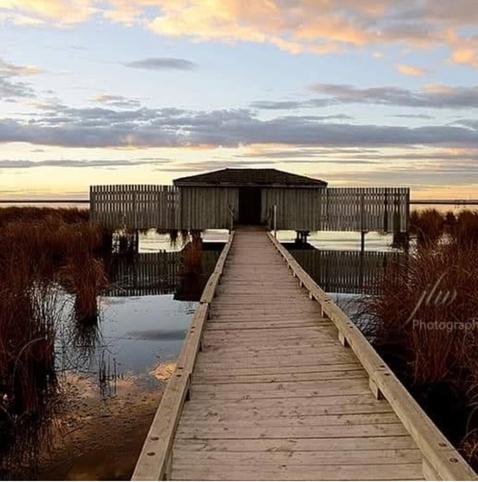 Frank Lake ,  Alberta