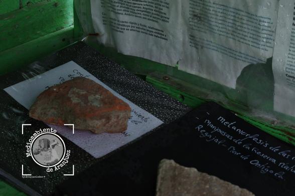 foto de unos cuadernos de campo cubiertos de gotas de lluvia en una caseta de madera pintada de verde construida por un vecino como improvisado centro de interpretación del mar de Ontígola Aranjuez