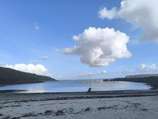 Der Blick aufs Wasser. Im unteren Teil des Bildes liegt der Strand, mit einigen Algen. In der Mitte das Wasser, in einiger Entfernung liegen kleine Segelboote. Im oberen Teil des Bildes ist der blaue Himmel mit ein paar weißen Wolken zu sehen.