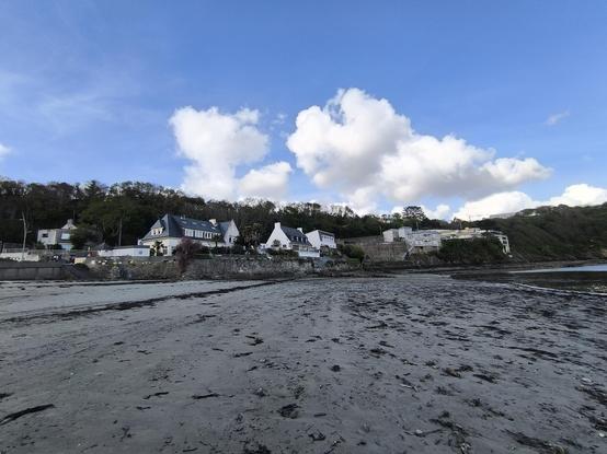 Blick vom Strand auf ein paar Häuser. Im unteren Teil des Bildes liegt der Strand mit Algen, Steinen und Muscheln. In der Bildmitte sind die Häuser und darüber der blaue Himmel.