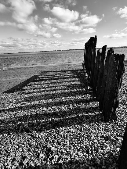 There are some very old oak beams on the Humber Estuary from a time long gone. Maybe 100 years or older. Tide getting in and out, but they are still there.....