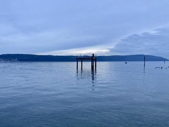 Ein Blick auf den ruhigen Bodensee zur blauen Stunde, am Horizont sieht man eine sanfte Bergkette. In der Mitte des Bildes steht eine Plattform auf Stelzen mit Sprungbrett links. An ihrer rechten Seite eine Leiter, ein Rettungsring hängt an einem rundumlaufenden Geländer. Darauf sitzen Möwen. Der Himmel ist bewölkt, nur in der Mitte über der Plattform ist ein Lichtschleier.