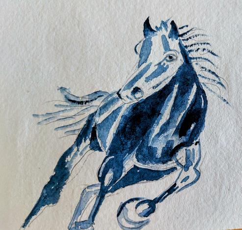 Horse swerving